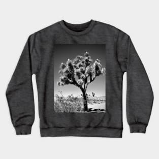 Ancient Joshua Tree Crewneck Sweatshirt